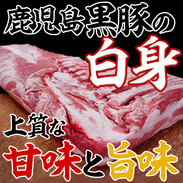 gkc00283