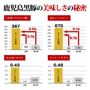 鹿児島おかずお惣菜ギフトお肉魚中食宅配ubereats出前館