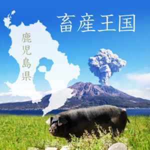 おかず惣菜ギフト通販Kimikado鹿児島-2