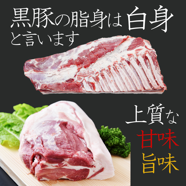 gkc0025